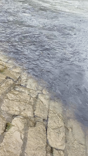 |禁捕过后鱼群成灾，赶快回家拿装备