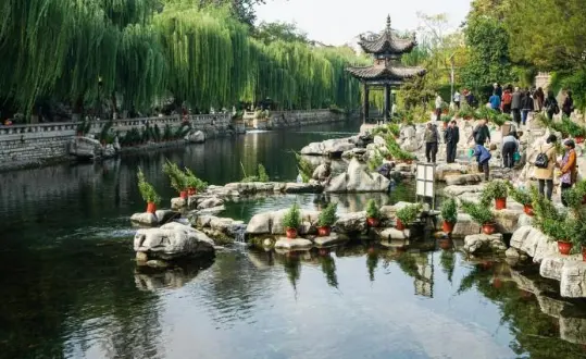 洪江|旅游总想去江南？其实济南才是秋日最佳的旅行目的地