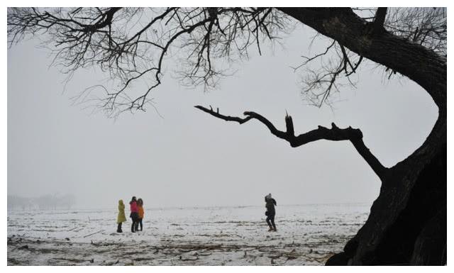 旅游商品|东北景点奇观:房子上看到“取暖”2字,可别当写着玩的
