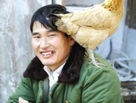 陈萌|朱小伟在健身房结识其他女子,大衣哥被其气住院,陈萌将何去何从