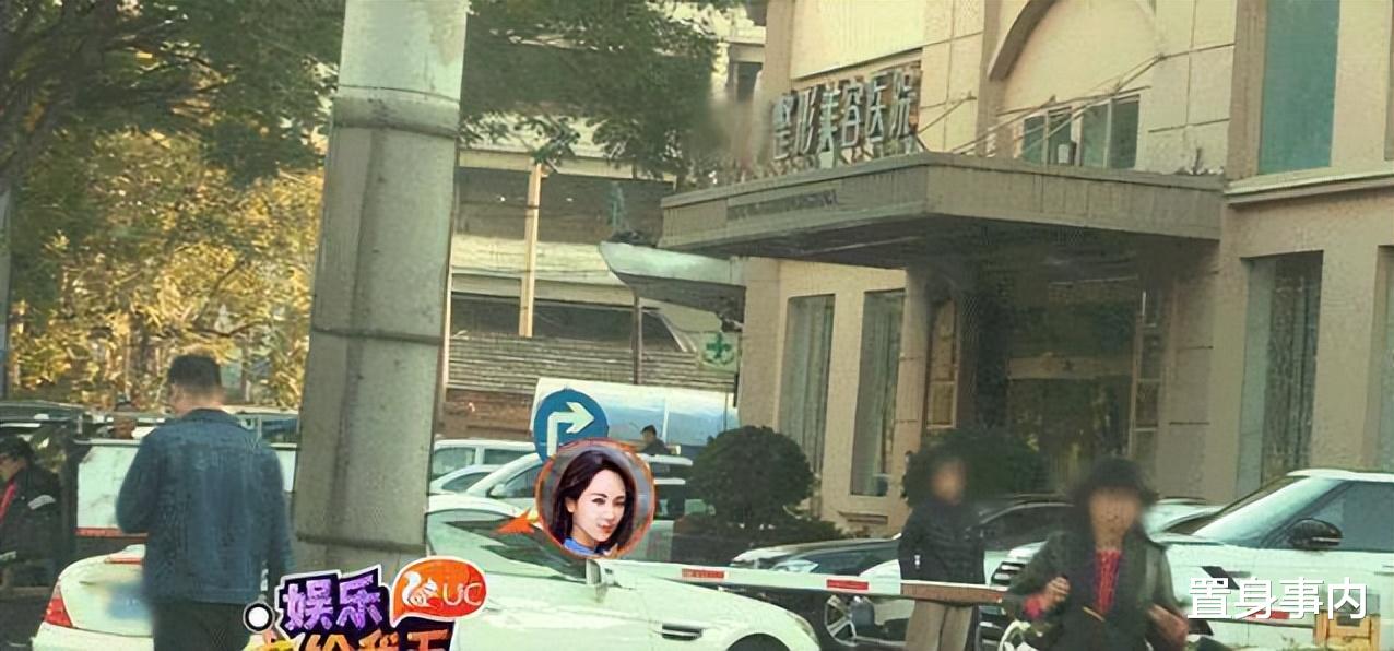 杨紫|影视圈“假鼻子”大赏:谁堪称点睛之笔,谁“越整越残”?