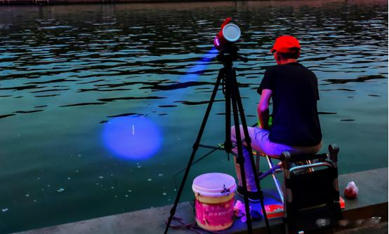 饵料|夏季多高温，拿起鱼竿别急钓！掌握3条“法则”，鱼获提高80%