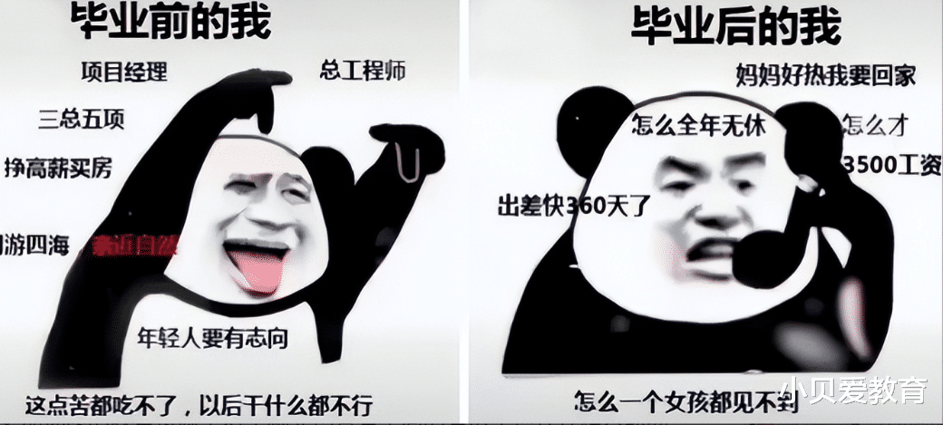 00后|第一批00后步入职场,毕业前后差距大,大学生用“梗图”自我调侃