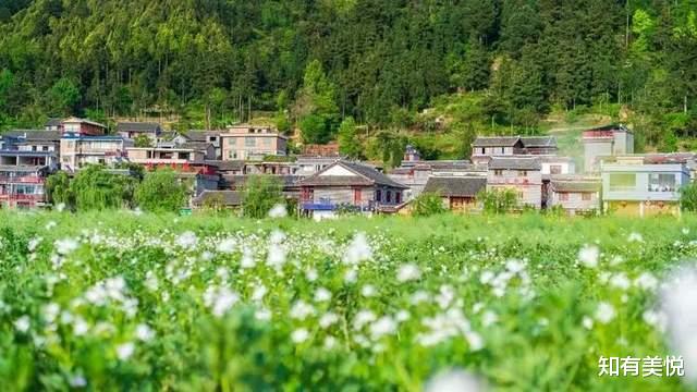 乌镇|国内10个精致的旅行地,真正的世外桃源,每一个都美得那么低调!