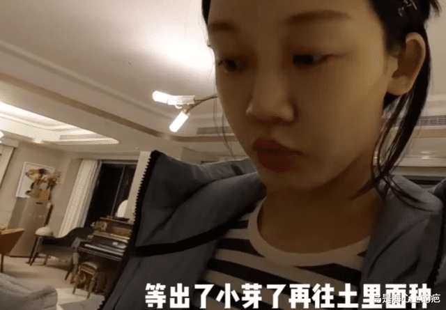 苗苗|上海明星生活现状：吴尊全家齐健身，苗苗在家种菜，陶虹笑靥如花