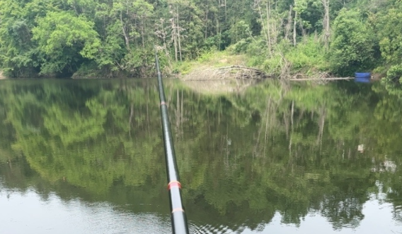 |针对新手，钓鱼要注意什么？不是从宇宙大爆炸开始讲起的（一）