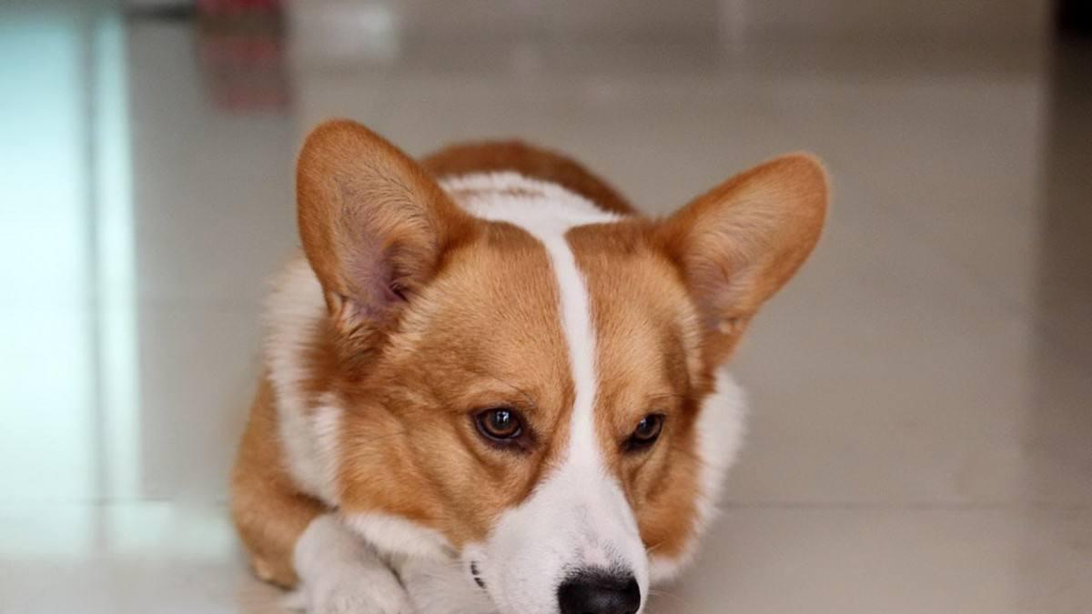 白宫|单身时就认真工作吧，情场失意职场得意嘛