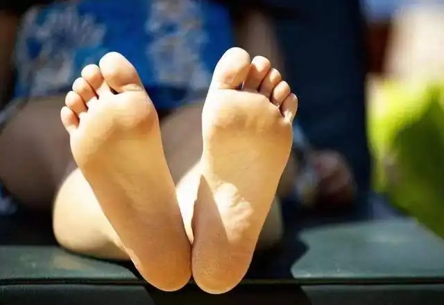 牙周炎|艾草是个宝丨灸后艾灰亦有用，平添生活小妙招