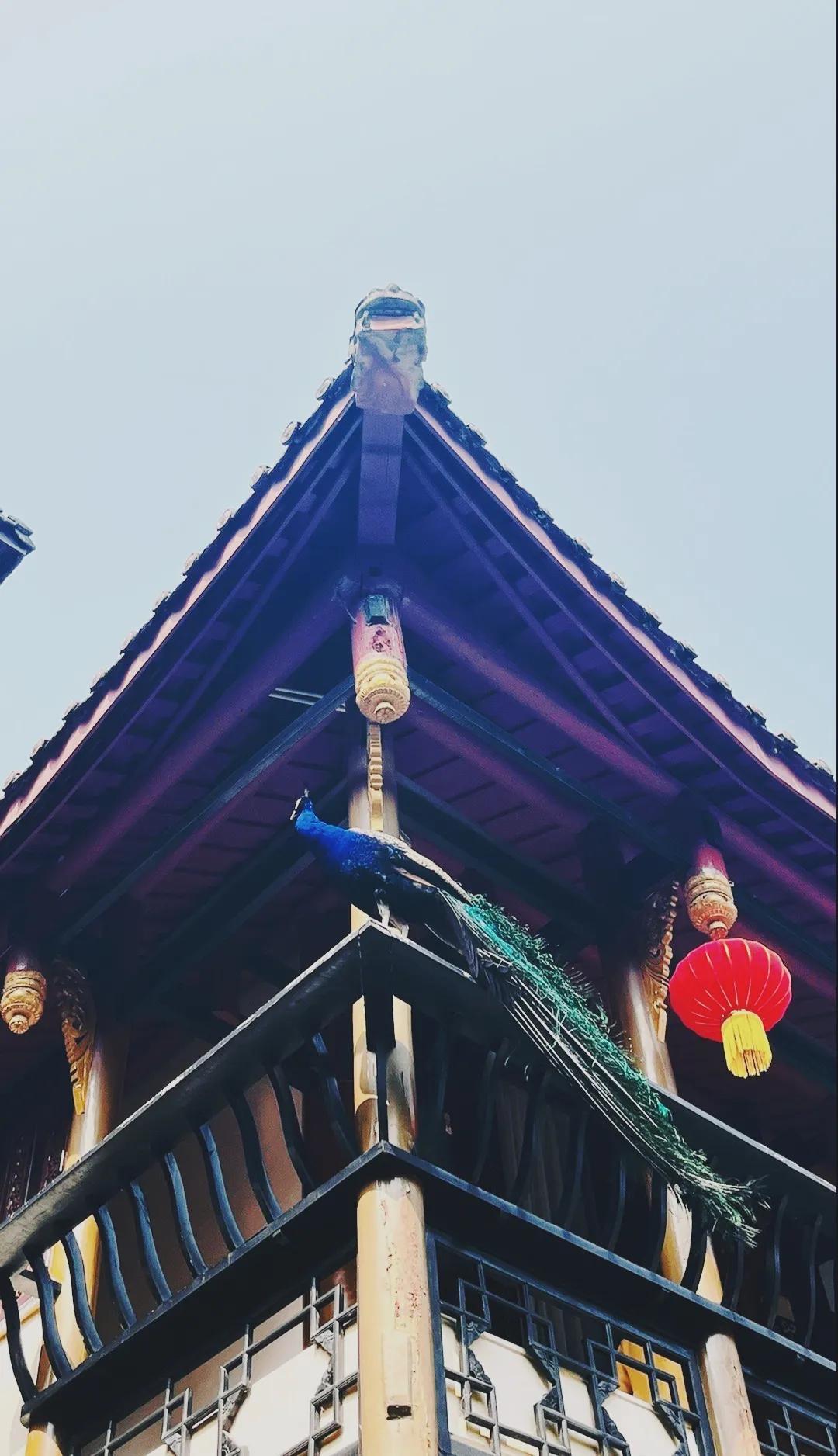泰国旅游|味江流，普照寺，都在青城