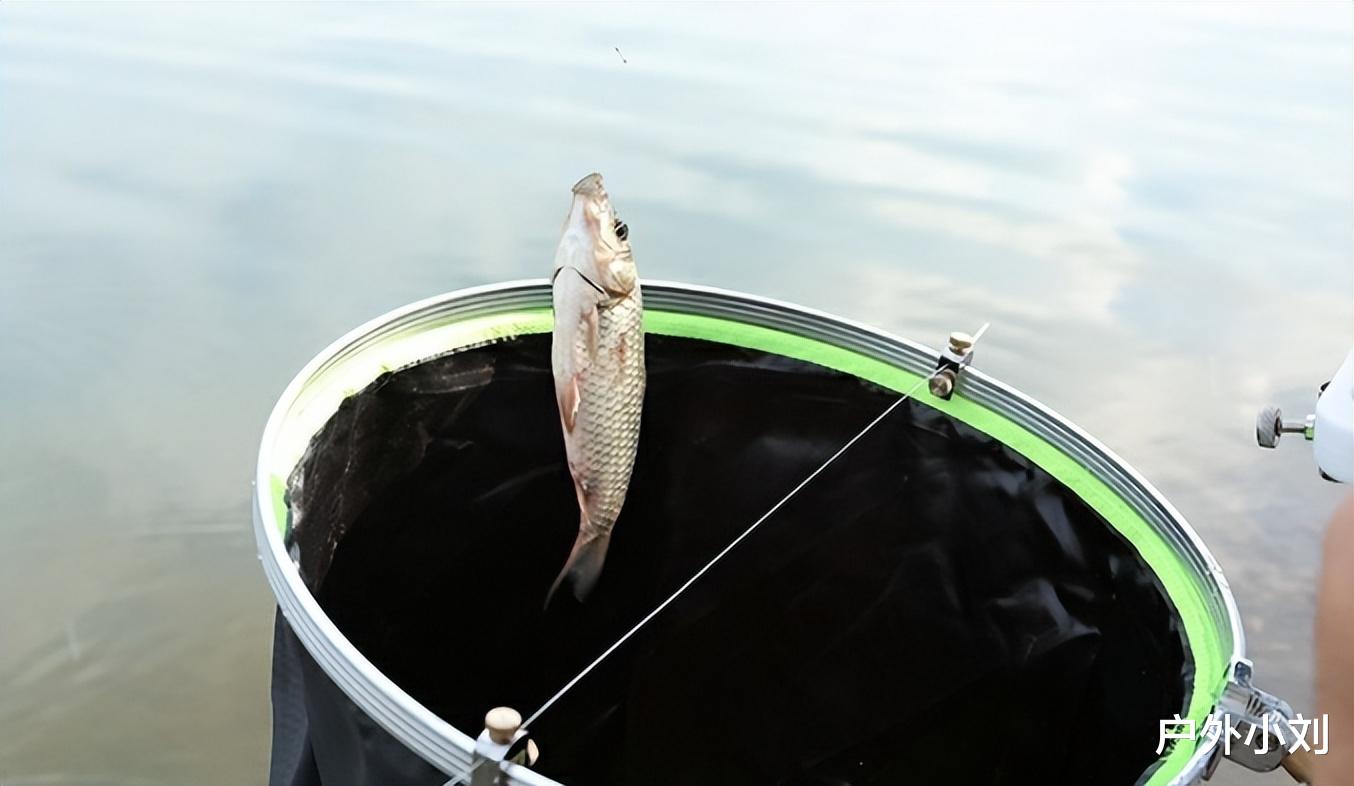 饵料|6种看起来很有用,但野钓时用一次就想扔的钓具,劝钓友们别买