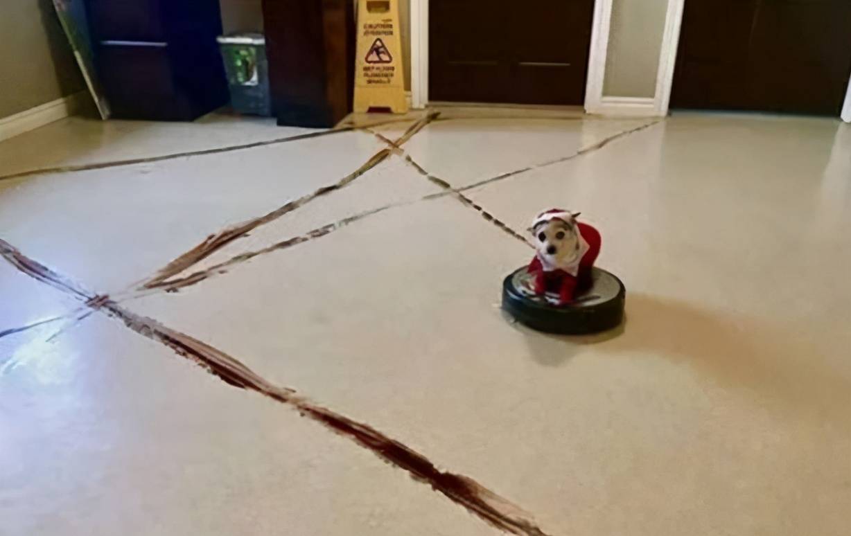 安卓|网友:这10个鸡肋家电谁买谁后悔!我家竟然全中 ,你家中了几个?