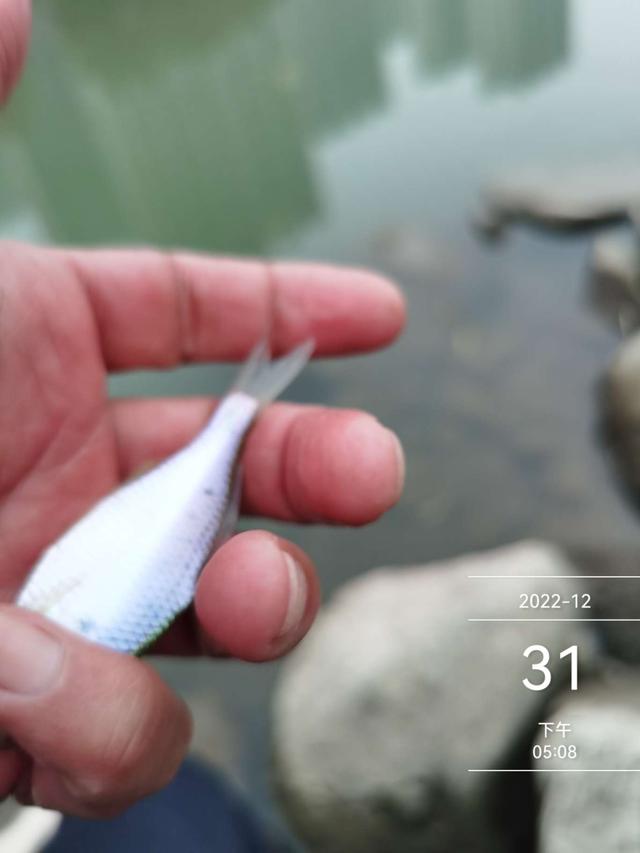 跨年|完美跨年夜:既是收官之战,又是开局之作