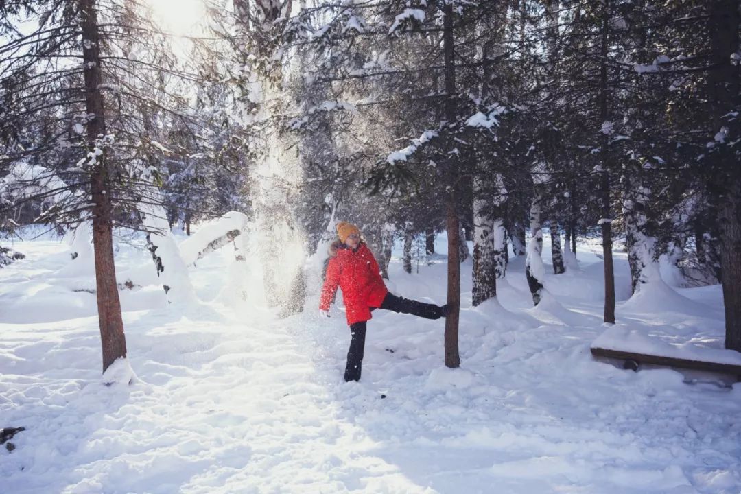 喀纳斯|喀纳斯,西北边境的原始小城,跨越千山万水,只为一刻的心灵悸动