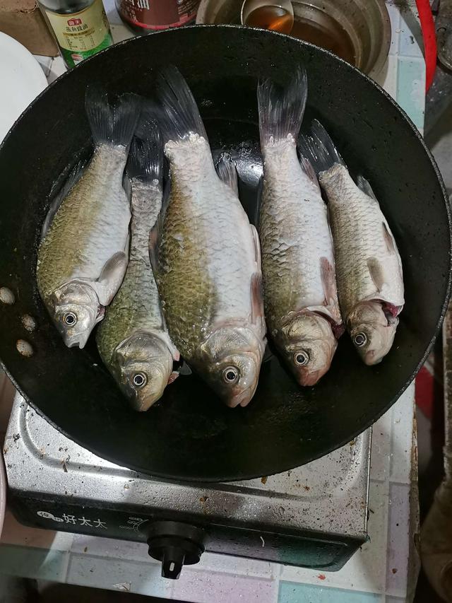 饵料|鱼贪饵香不舍走，人盼鱼口苦蹲守