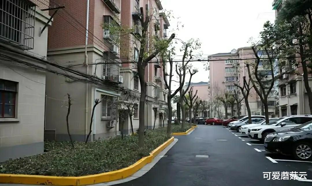 销售额|上海房东开始忙着涨价了