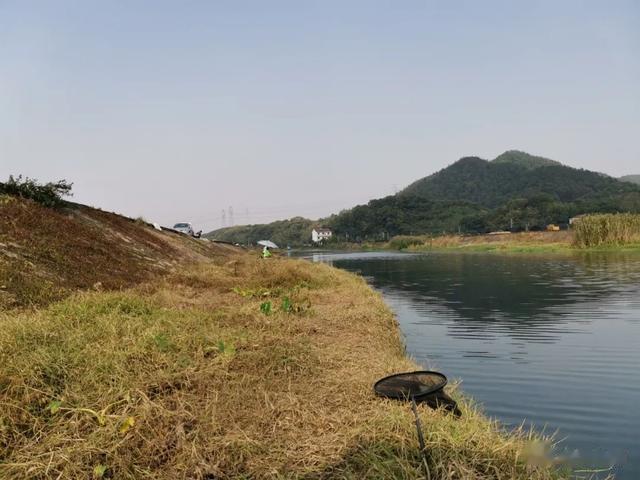 |老钓位和新钓位哪个更好？别盲目从众，根据自身情况选择最靠谱