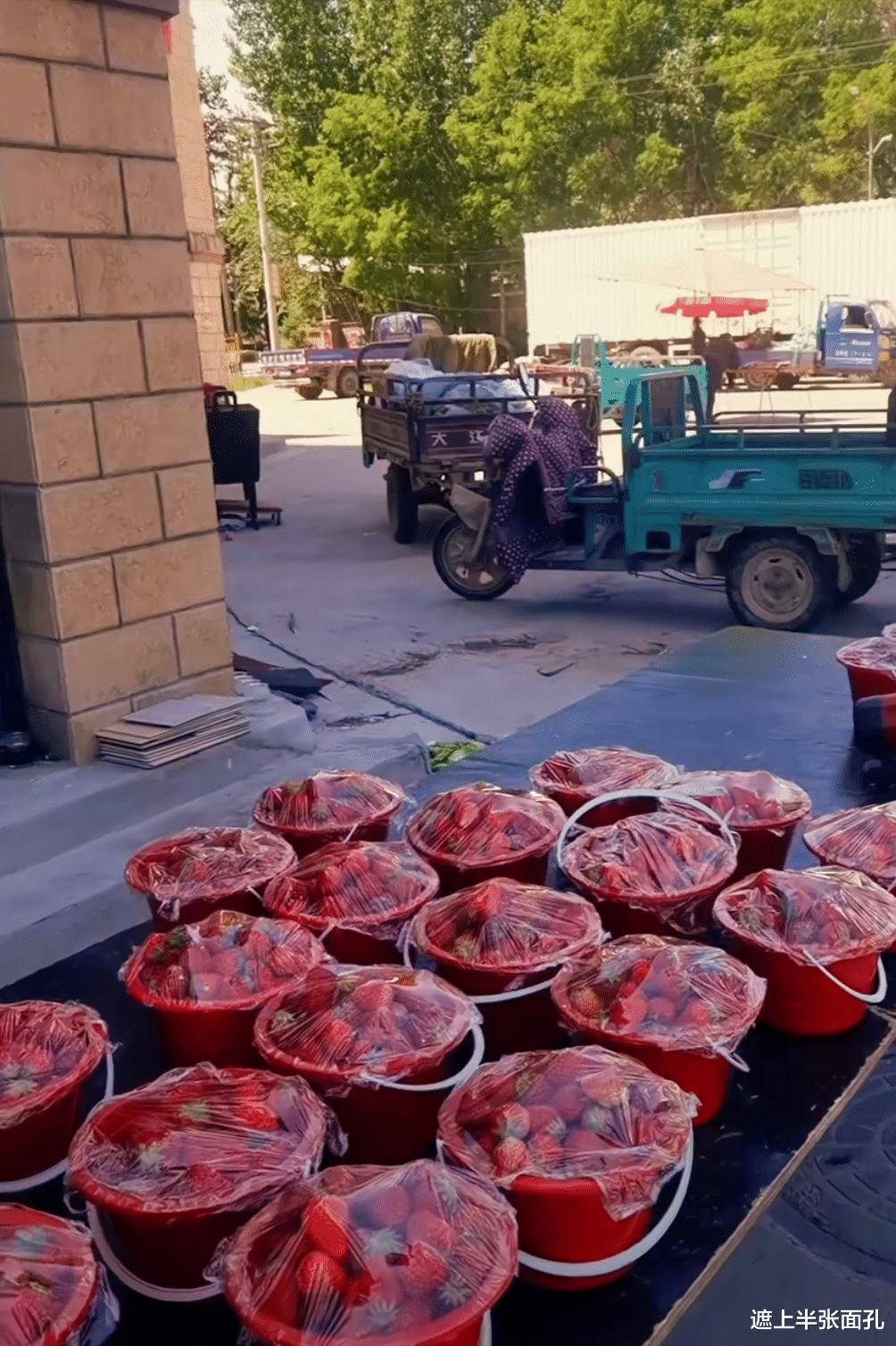 小姐姐|49岁演员谢宁改行卖水果，抽11块钱的云烟，大街上摆摊十分接地气