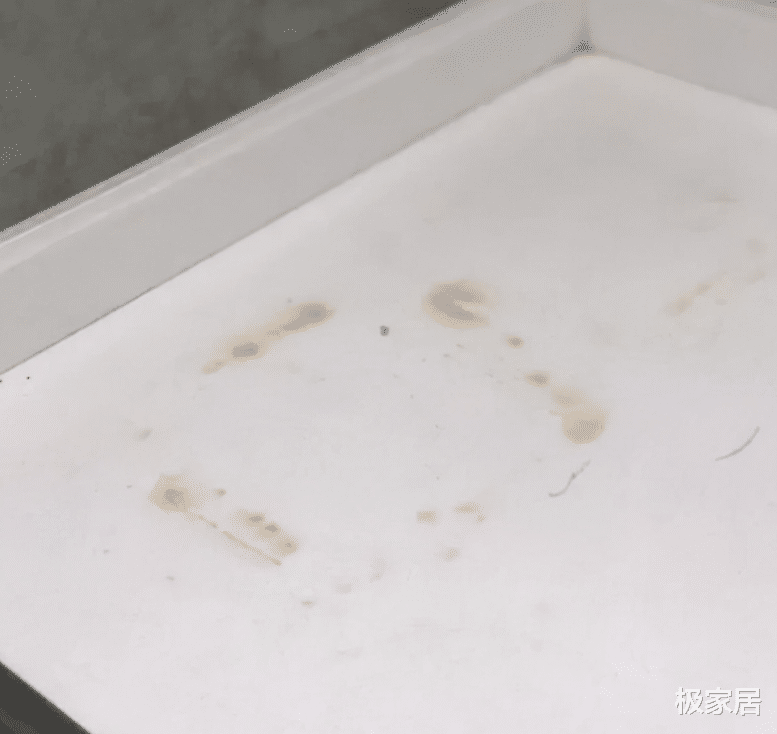 外表土得“掉渣”,实用性却超出预期!这些家居好物,用完离不开