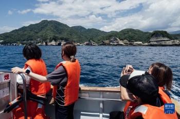 旅行团|伊豆半岛掠影「图」