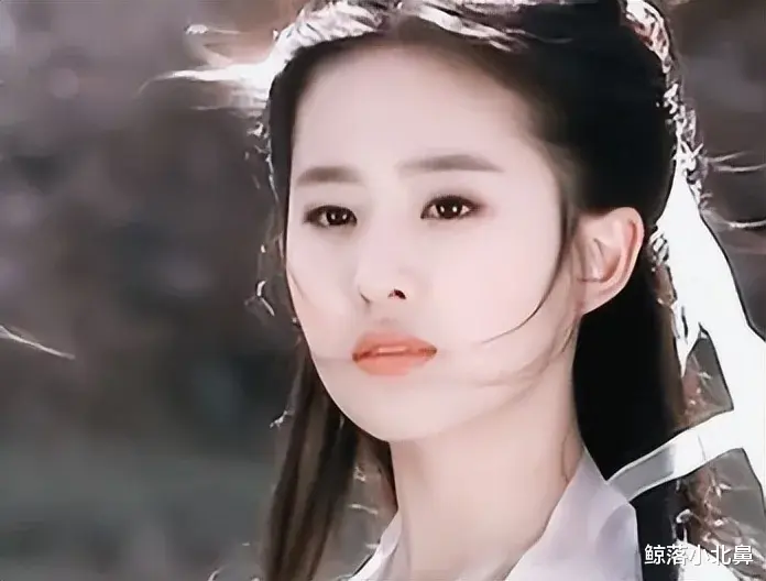 娱乐圈|娱乐圈公认的花瓶,靠颜值闯出一片天地