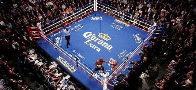 烘焙|职业拳击选手的身体素质为什么这么好呢?背后的付出至关重要