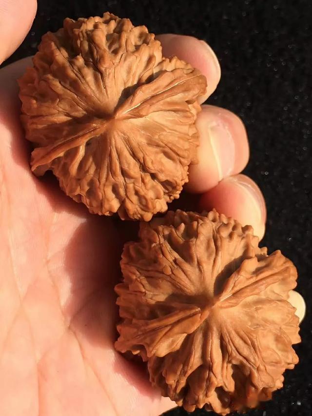 文玩核桃|文玩核桃的4个死穴，您了解吗？