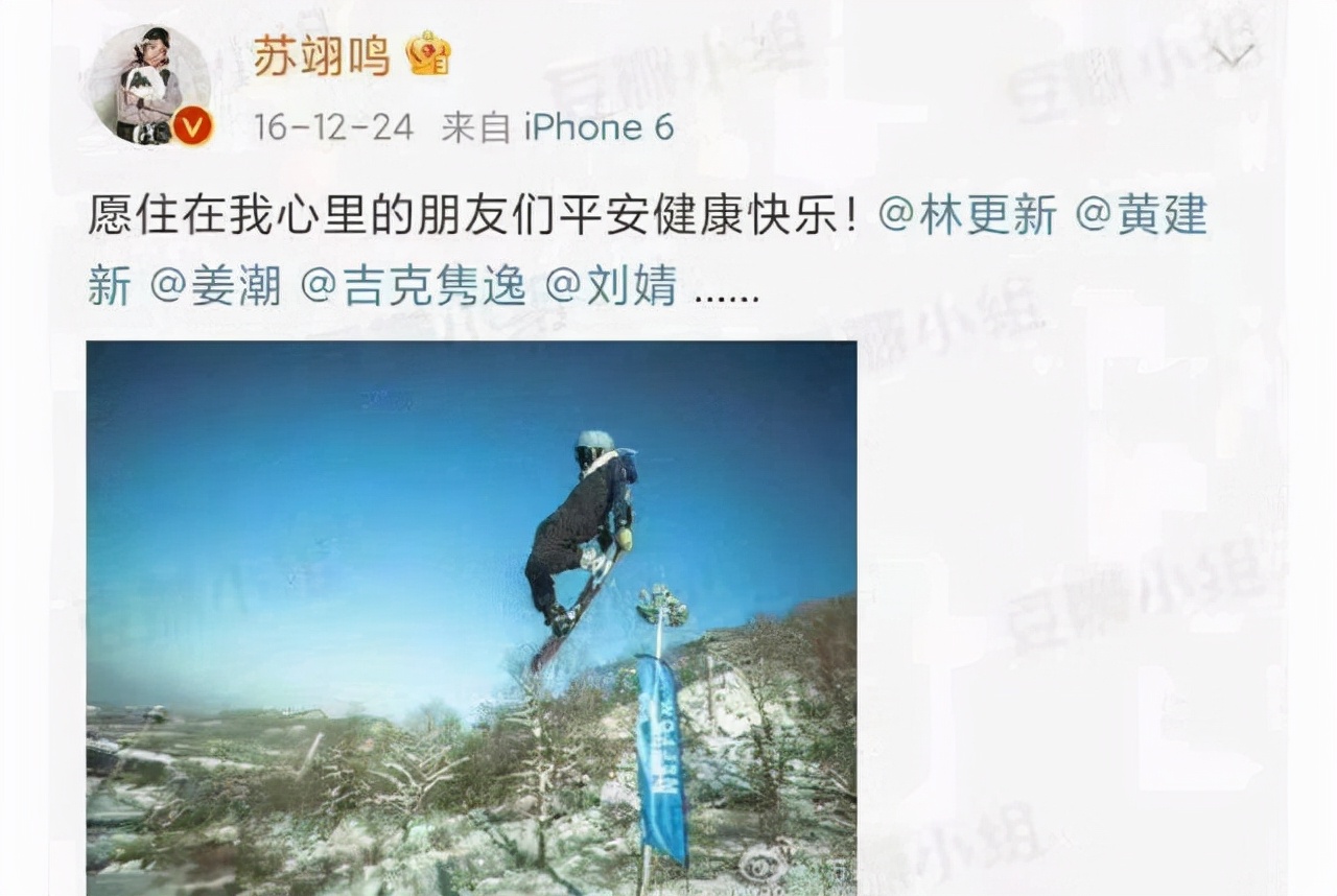 苏翊鸣|苏翊鸣走红后，那个不厌其烦回复他的刘婧涨粉40万，好人有好报