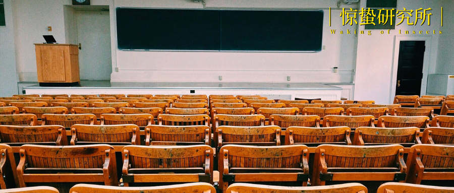 创业|一线访谈丨这届年轻人，“疫”中就业、失业与创业