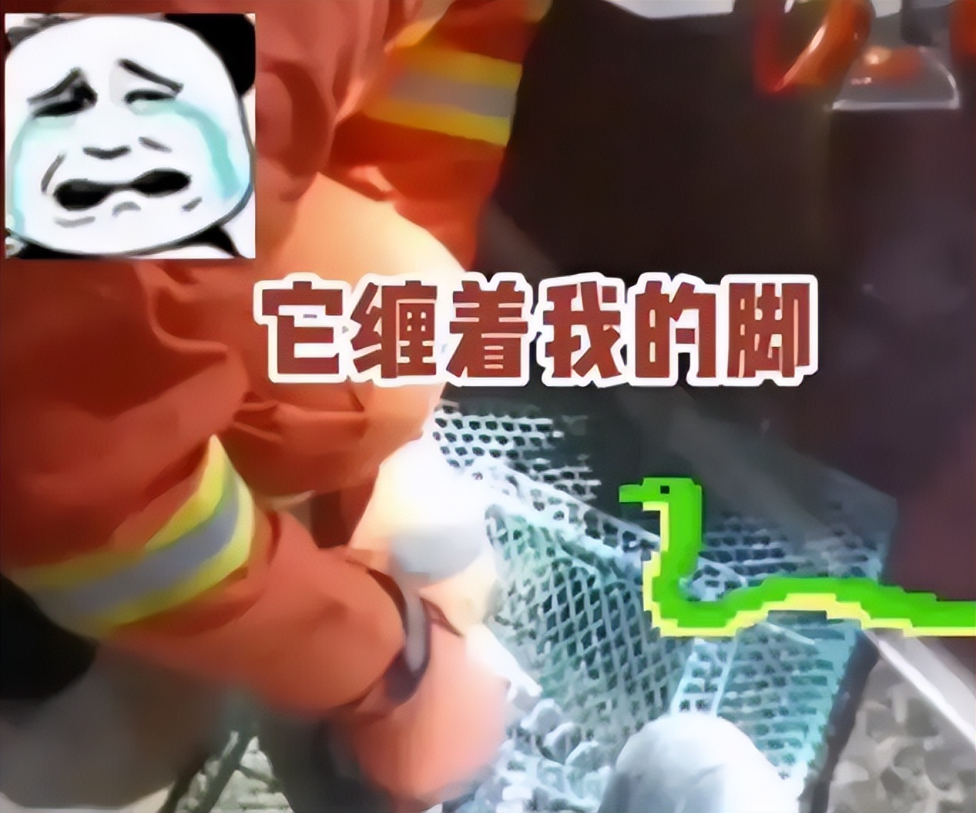 男子睡觉中被蛇缠脚,以为是皮带!网友:还好你是在睡觉