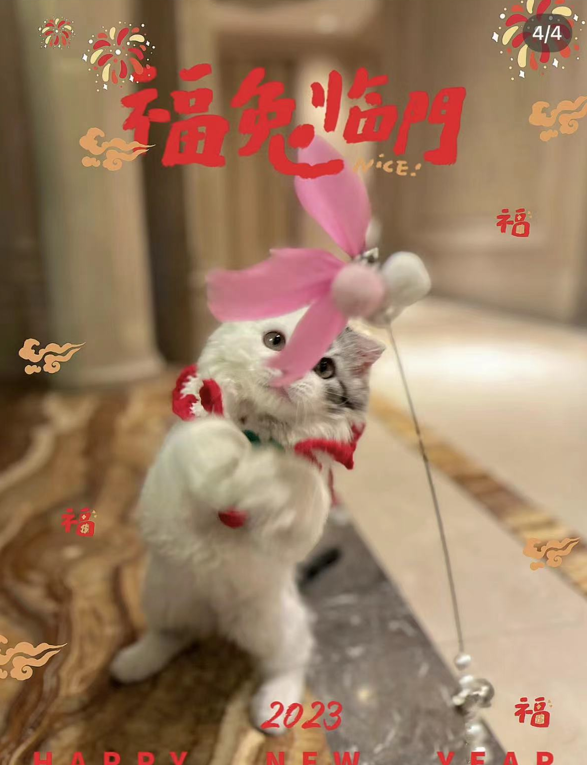 马蓉|马蓉离婚7年罕曝近况，在豪宅养萌宠打扮艳丽，独自带娃自称幸福