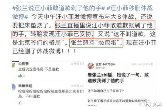 大S|大S否认与小S吸毒，强调从未婚内出轨，透露孩子抚养权归男方