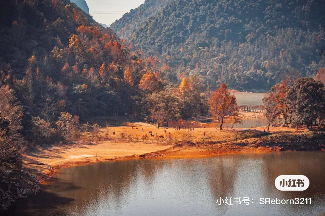 小红书|枫红了！广西标志性赏枫秘境，又到最佳观赏期！|广西旅游年卡