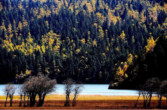 怒江大峡谷|人神共居的桃花源在秋天会有多惊艳?跟小乔来瞧瞧
