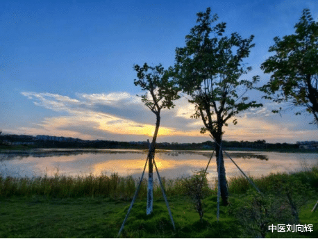 医生|结节、痰多？一个化痰散结的古方收好
