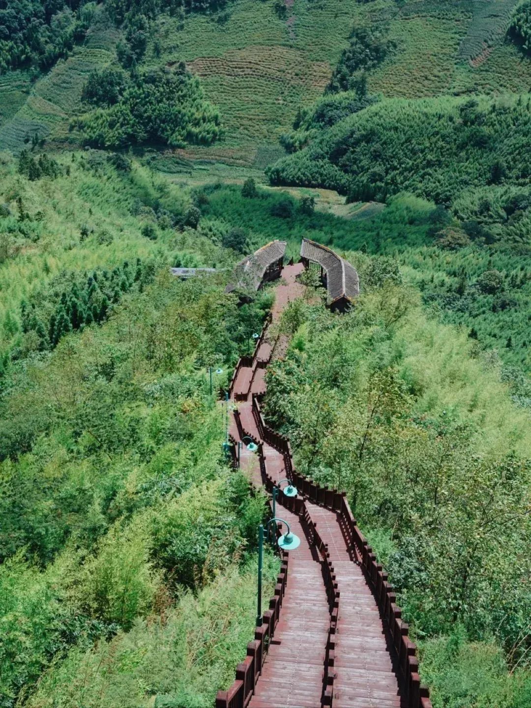 贵州|机票低至¥200,比九寨更惊艳,这座夏日23度的中国凉都,嗜酸又爱辣!