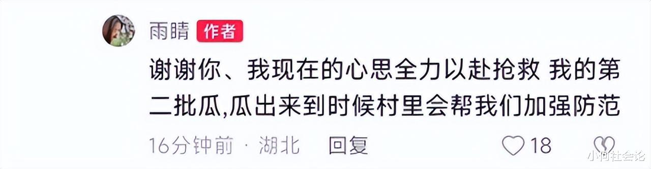 遭老人组团偷瓜女子发声:正在全力抢救第二批瓜苗,没提处理结果