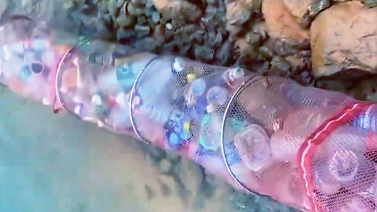 |男子鱼没钓到鱼护却是满的，镜头一转众人乐了，网友：值得发扬