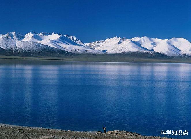 湟鱼|最大咸水湖青海湖，曾一年出鱼5000万斤，禁渔10年最大的鱼有多大