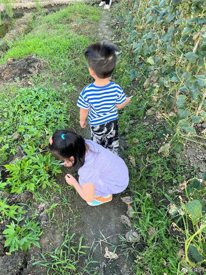 朱丹|朱丹晒带娃日常，一家四口幸福美满，5岁女儿气质像妈妈