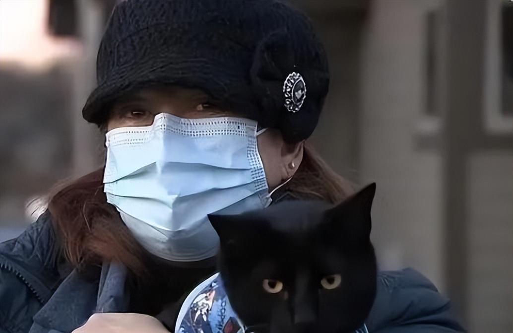 黑猫又来“送礼报恩”,叼回“鱼头”,是1米多美洲短吻鳄的头部