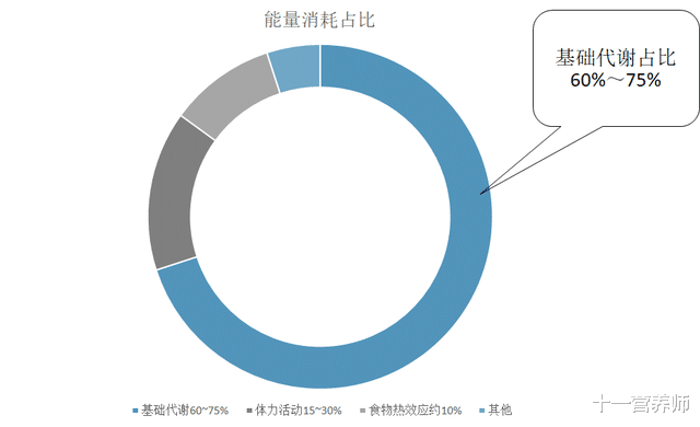 百洋医药|减肥只是少吃多动就行了？建议了解下能量的摄入与消耗