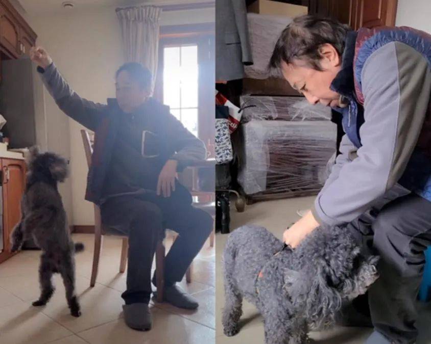 阿兰·德龙|64岁冯巩豪宅曝光,网友:低调,才是最牛的炫耀!