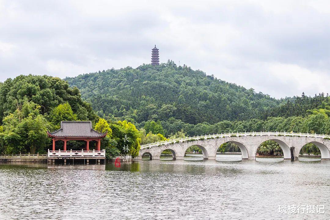 荷花|夏日亲子打卡地推荐,投资20亿的长株潭“后花园”