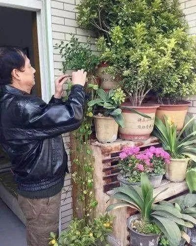 在自家阳台种满了植物,心里乐开花,发业主群邻居却“炸开了锅”