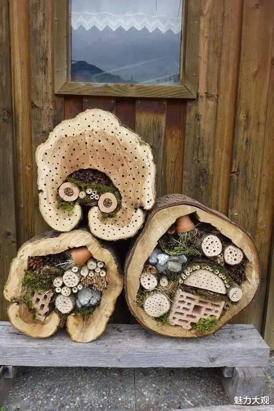 玩转庭院，低成本，高颜值，学会这几招你也可以