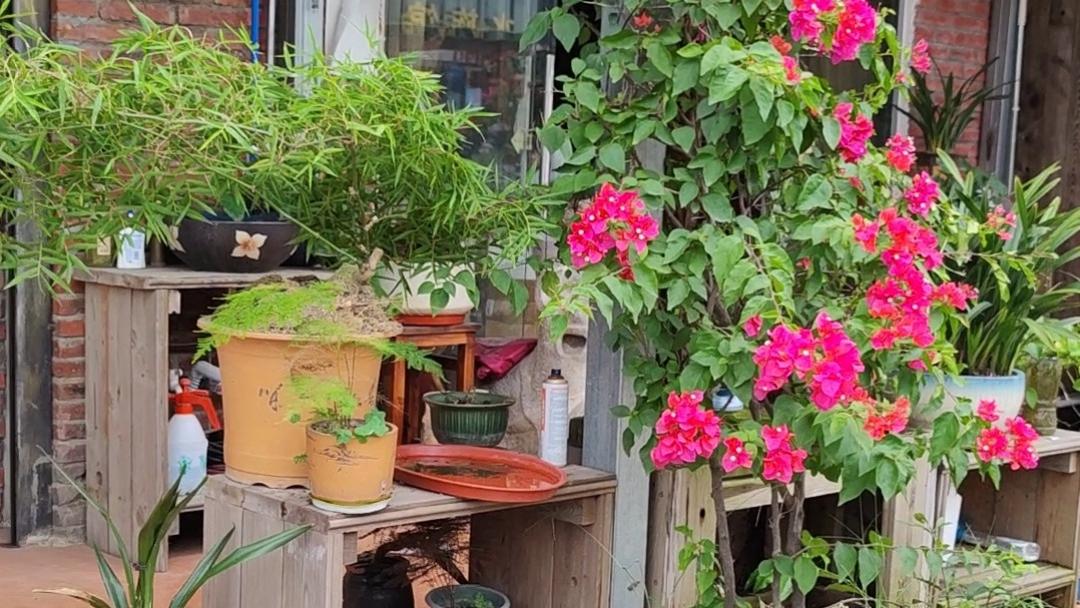 面试|土重水囚的生肖