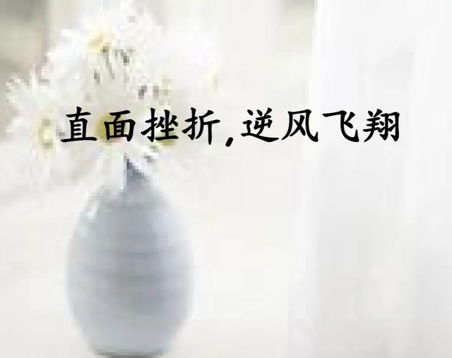 学会一笑置之，超然待之，做好自己