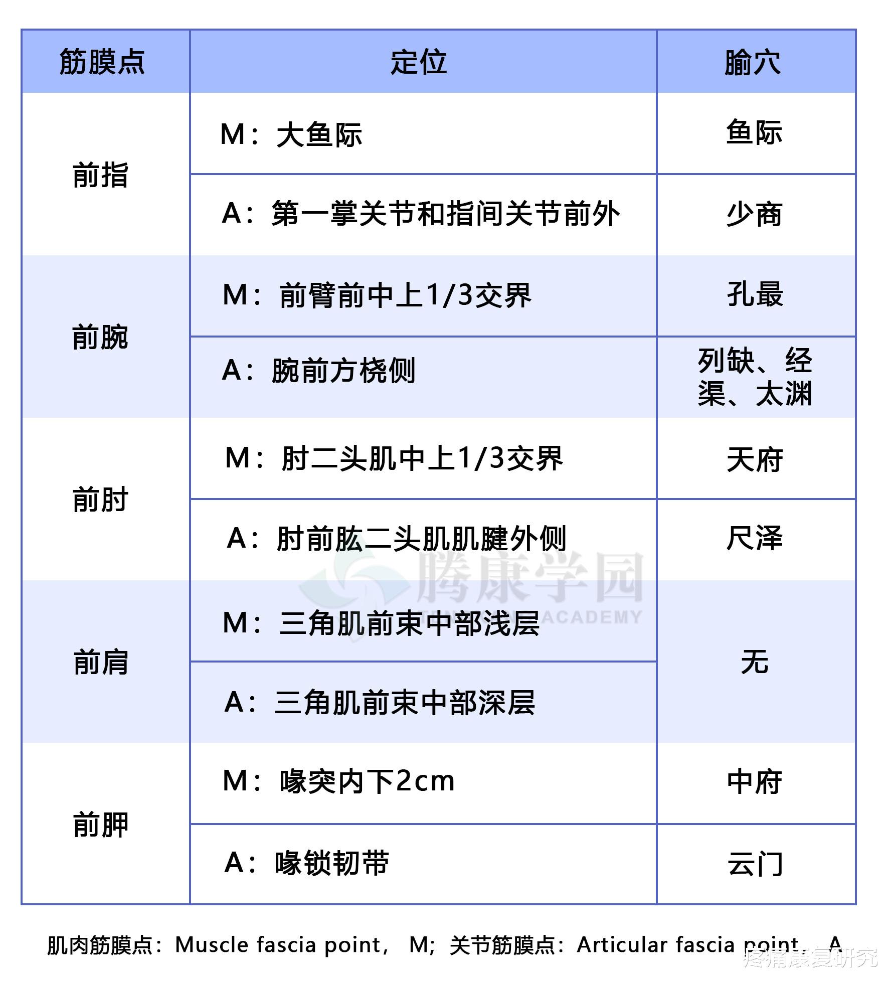 经络|【筋膜线与经络】上肢前向筋膜线与手太阴肺经