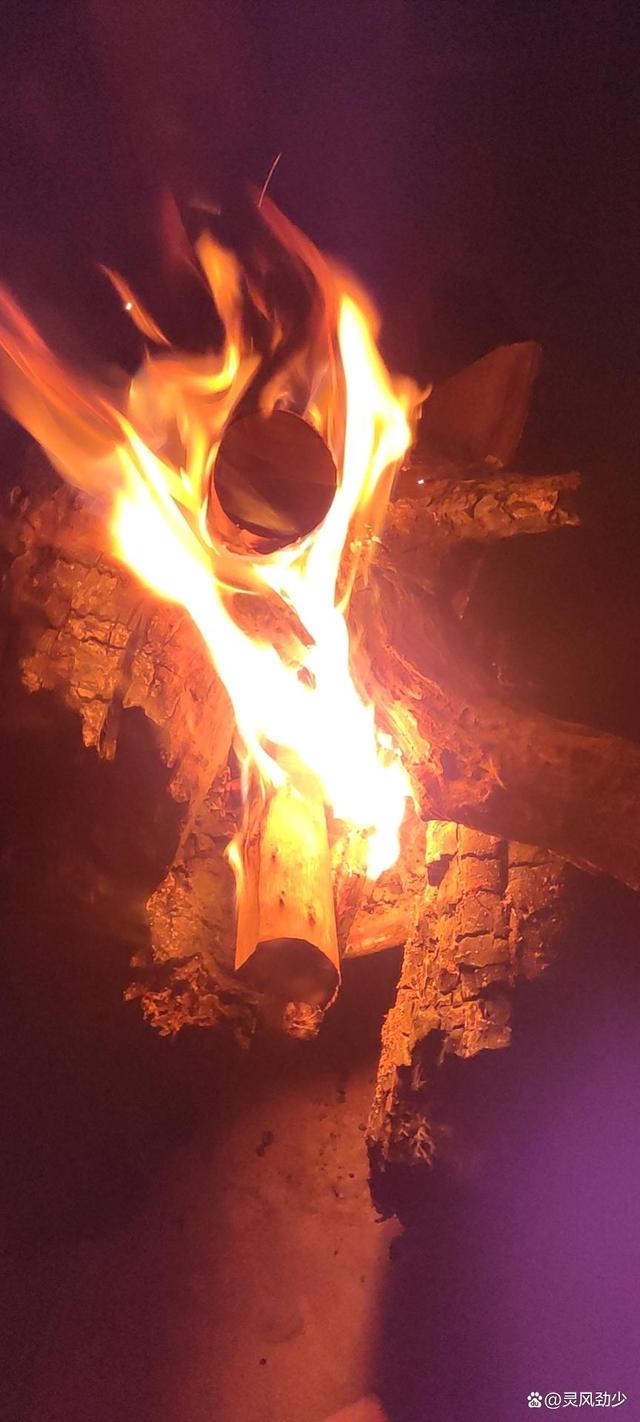 阿里巴巴|自媒体新人的一些话