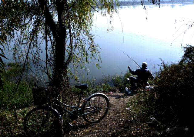 |入伏后,来到水边别下竿!学会3个“技巧”,出钓爆护美滋滋